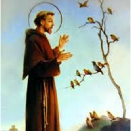 st françois d'assise
