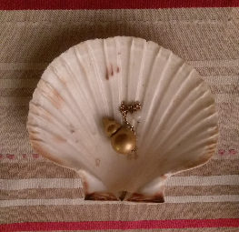 ma coquille saint jacques